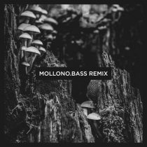 Mollono.Bass, Stephan Zovsky – The Orb (Mollono.Bass Remix