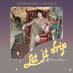 Lowheads, Liam Mockridge – Let It Drip (Lowheads Remix)