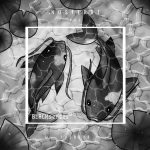 Nosferat – Koi