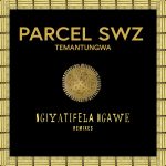 Parcel (SWZ), Temantungwa – Ngiyatifela Ngawe (Remixes)