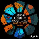 Database, Ale Salles, Liguori, Windy City Classics – What You Need ( Remixes EP )