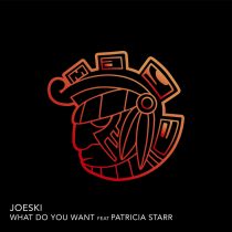 Joeski, Patricia Starr – What Do You Want Feat Patricia Starr