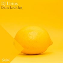 DJ Linus – Dans Leur Jus