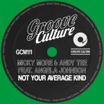 Micky More, Andy Tee, Angela Johnson – Not Your Average Kind