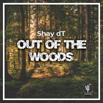 Shay DT – Out Of The Woods