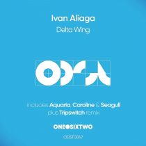 Ivan Aliaga – Delta Wing