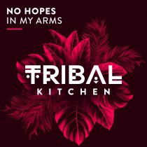 No Hopes – In My Arms
