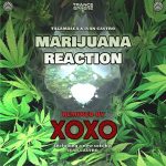 Talamasca, Ivan Castro – Marijuana Reaction (XOXO remix)