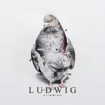 Stimming – Ludwig