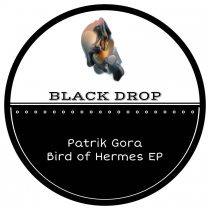 Patrik Gora – Bird of Hermes EP