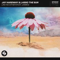 Jay Hardway, Jaimes, Lasso The Sun – Like No Other (feat. Jaimes) [Extended Mix]