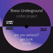 Bress Underground – Codes Project