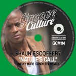 Shaun Escoffery – Nature’s Call (Micky More & Andy Tee Remixes)