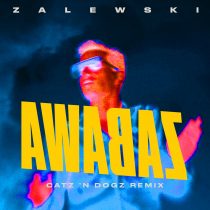 Krzysztof Zalewski – Zabawa – Catz ‘n Dogz Remix