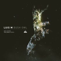Luis M – Bush Owl