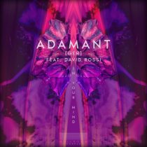 Adamant (Ger) – In Your Mind