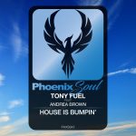 Andrea Brown, Tony Fuel – House Is Bumpin’