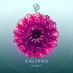 Modbit – Calypso