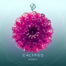 Modbit – Calypso