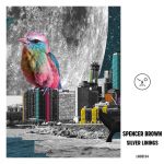 Spencer Brown – Silver Linings