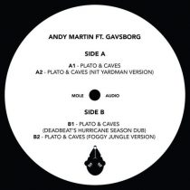 Andy Martin, Gavsborg – Plato & Caves