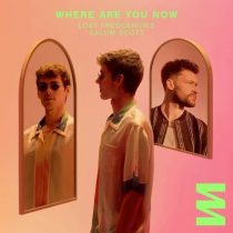 Lost Frequencies, Calum Scott – Where Are You Now (Extended Mix)