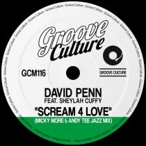 David Penn – Scream 4 Love (feat. Sheylah Cuffy) [Micky More & Andy Tee Jazz Mixes]