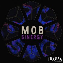 M0B – Sinergy