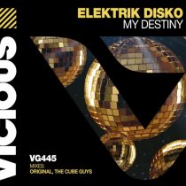 Elektrik Disko – My Destiny