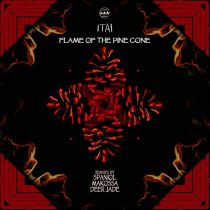 ITAI – Flame of the Pine Cone