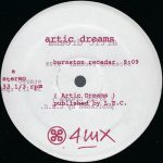 Artic Dreams – Buraston Recadar