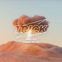 Jamie Roy – Organ Belta