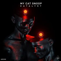 My Cat Snoop – Catalyst