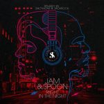 Jam & Spoon, Plavka – Right in the Night – Balthazar & JackRock Remixes