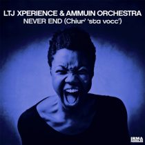 LTJ  Xperience, Ammuin Orchestra – Never End (Chiur’ ‘sta vocc’)
