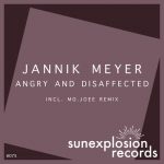 Jannik Meyer – Angry and Disaffected