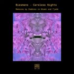 Biesmans – Careless Nights