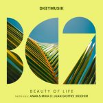 Dkeymusik – Beauty of Life