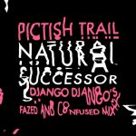 Django Django, Pictish Trail – Natural Successor – Django Django’s ‘Fazed and Confused Remix’