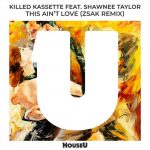 Shawnee Taylor, Killed Kassette – This Ain’t Love