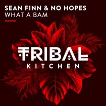 Sean Finn, No Hopes – What a Bam