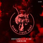 Grotesque, Lil D x NM – Flame in a Fire