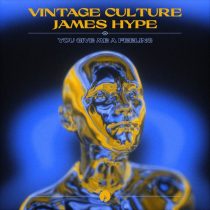Vintage Culture, James Hype – You Give Me A Feeling