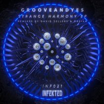 Grooveandyes – Strange Harmony