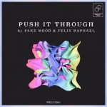 Fake Mood, Felix Raphael – Push it through