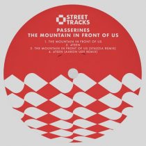 Passerines – The Mountain in Front Of Us