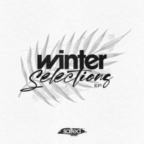 VA – Winter Selections