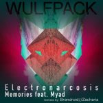 Electronarcosis – Memories