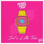 Shaka Loves You – Just A Little Time
