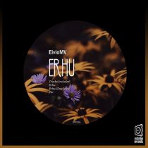 ElvioMV – Erhu